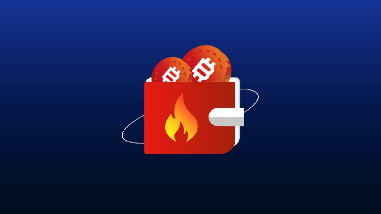 
			Как вывести деньги с Hot Wallet: перевод с Хот Валет на карту		